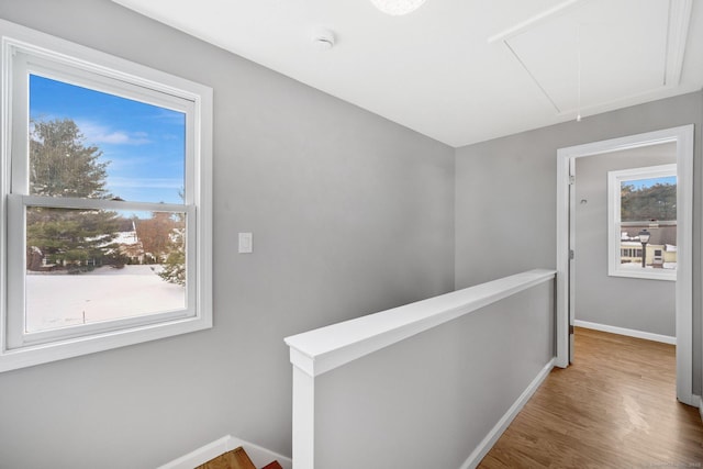 hall featuring a healthy amount of sunlight, attic access, and an upstairs landing