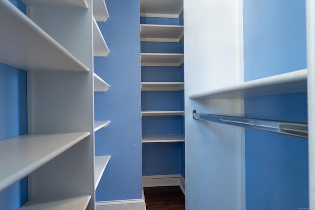 walk in closet with dark wood-style flooring