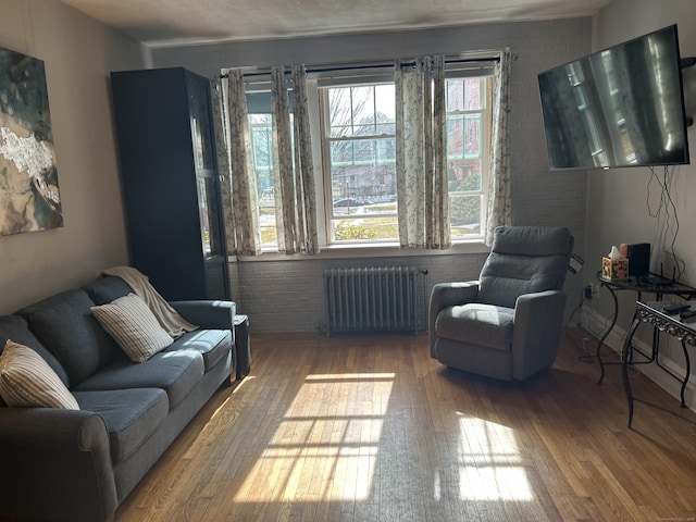 137 Fountain St Apt A7, New Haven, CT 06515 - living area with radiator, brick wall, and wood finished floors