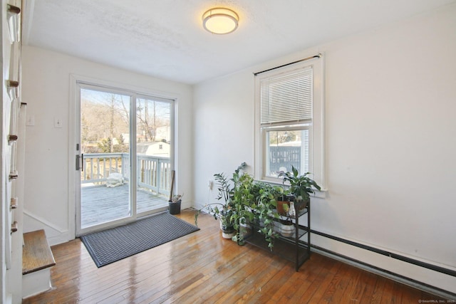 entryway featuring a healthy amount of sunlight, baseboards, and hardwood / wood-style flooring