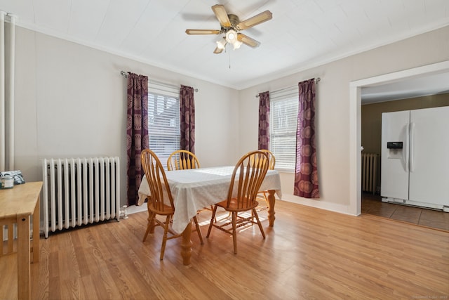 dining area featuring light wood-style floors, plenty of natural light, and radiator