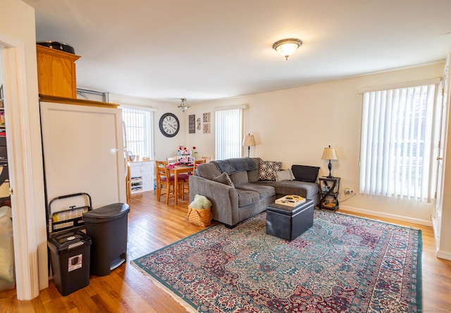 living area with wood finished floors