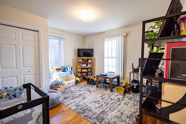 recreation room featuring a wealth of natural light and wood finished floors