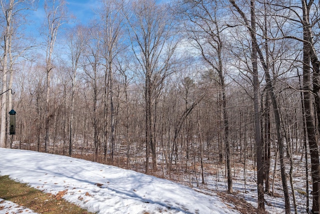 view of yard layered in snow