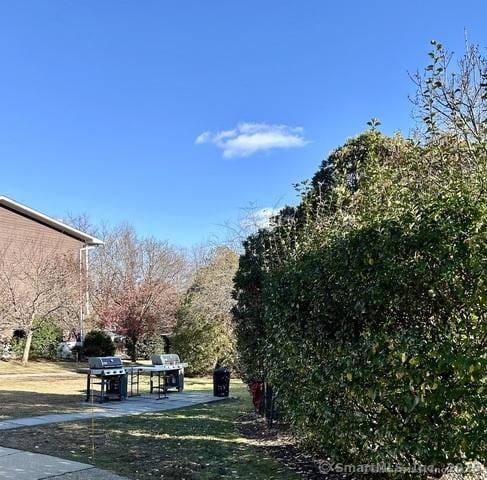 view of yard featuring a patio area