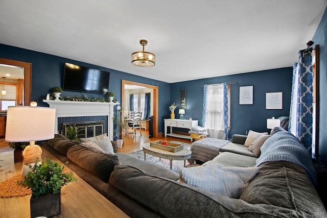 living area featuring a glass covered fireplace and wood finished floors