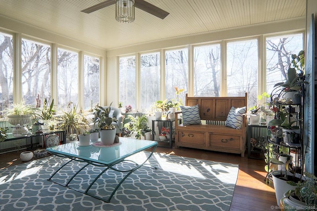 sunroom / solarium with a healthy amount of sunlight and ceiling fan