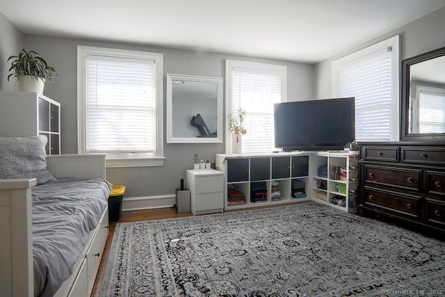 interior space with multiple windows, baseboards, and wood finished floors