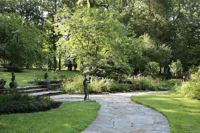 view of property's community with a lawn