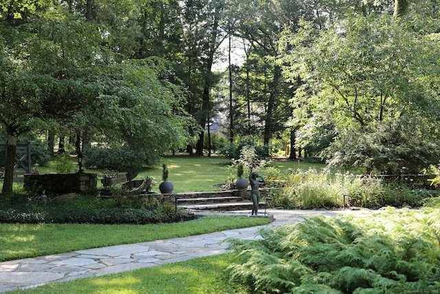 view of property's community with a lawn