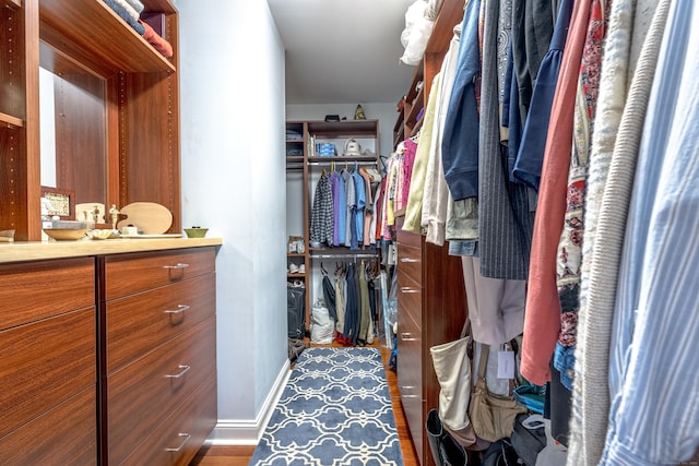 view of spacious closet