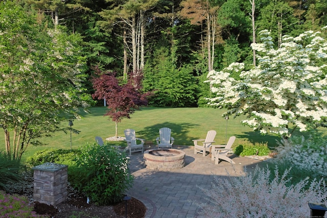 view of yard featuring an outdoor fire pit and a patio area