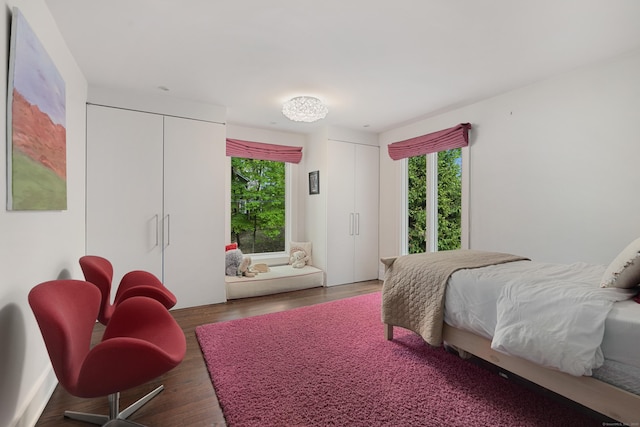 bedroom featuring multiple windows, wood finished floors, and multiple closets