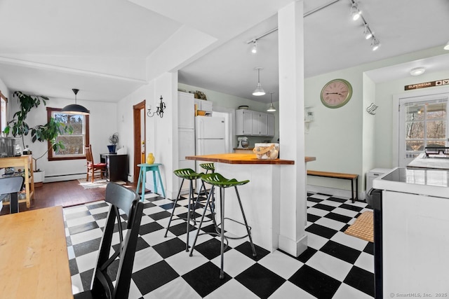 kitchen featuring light floors, plenty of natural light, wood counters, and freestanding refrigerator