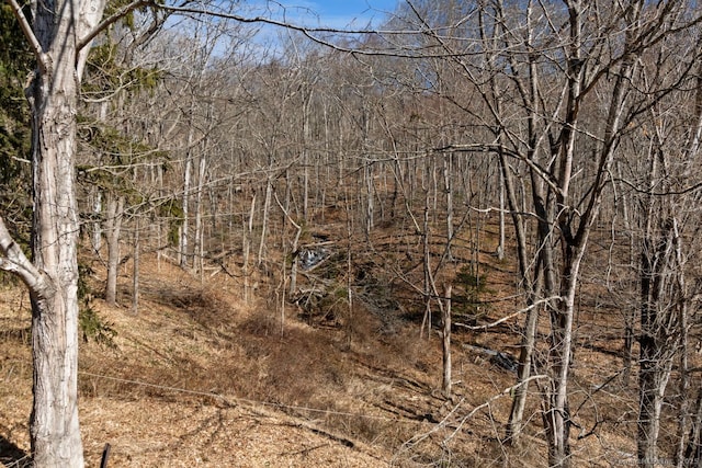 view of nature featuring a view of trees