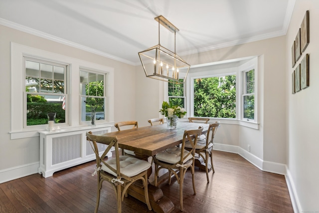 dining area featuring dark wood-style floors, radiator heating unit, and crown molding