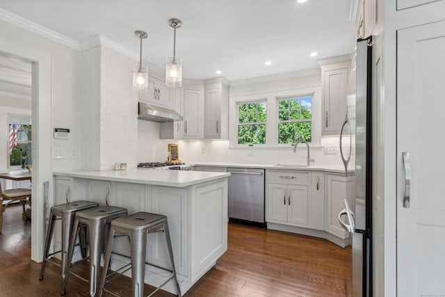 kitchen featuring appliances with stainless steel finishes, ornamental molding, a sink, a peninsula, and under cabinet range hood