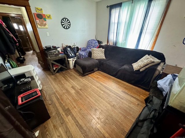 living room featuring hardwood / wood-style floors