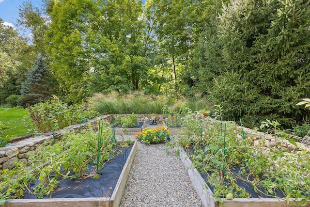 view of yard with a vegetable garden