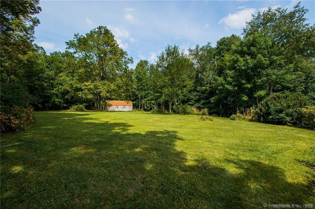 view of yard featuring a view of trees