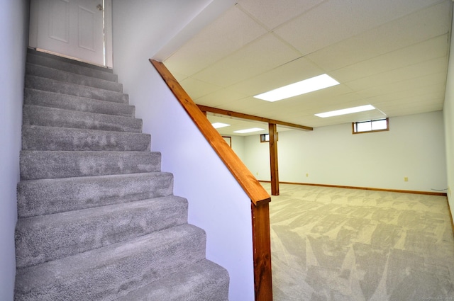 staircase with carpet flooring, baseboards, and a paneled ceiling
