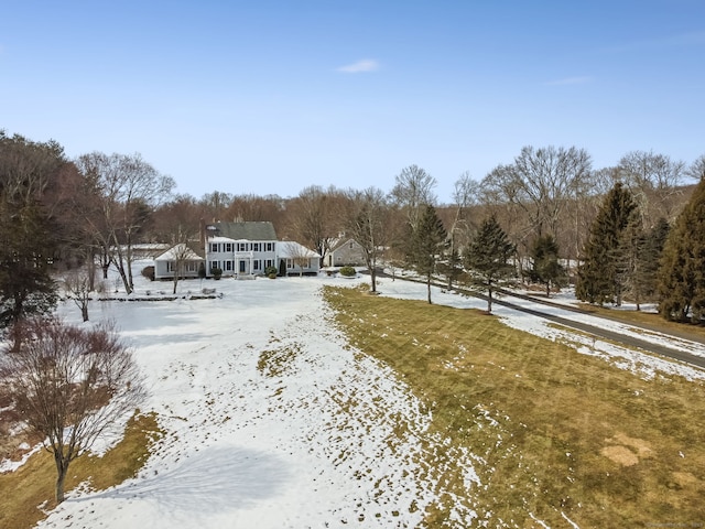 view of yard covered in snow