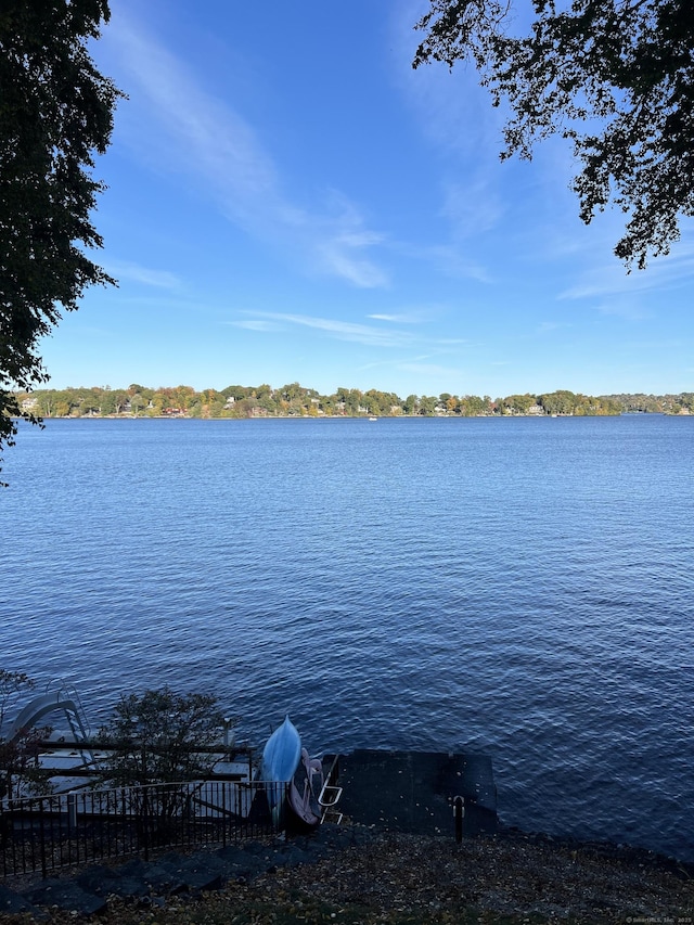 property view of water