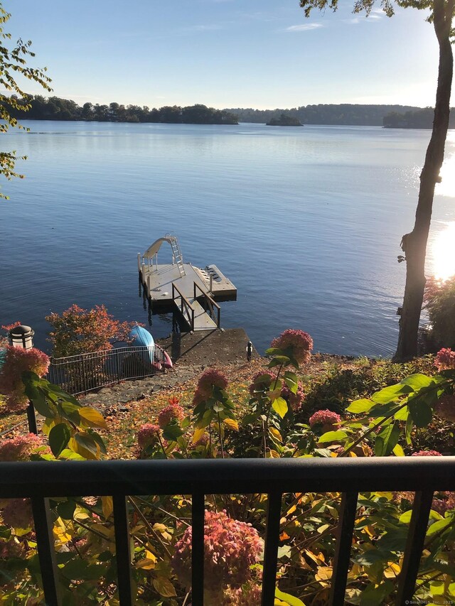 view of water feature featuring a dock