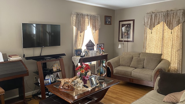 living area featuring wood finished floors