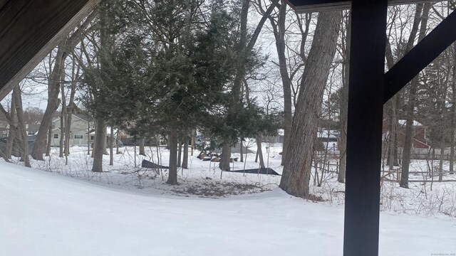 view of yard covered in snow