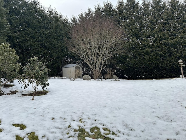 yard layered in snow featuring an outbuilding and a shed