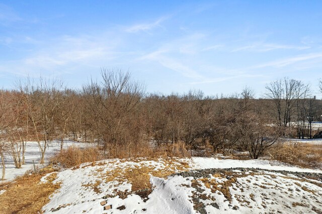 view of snowy landscape