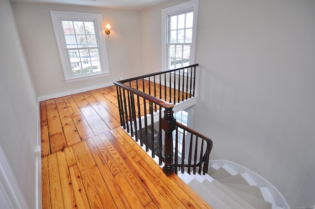 staircase featuring plenty of natural light, hardwood / wood-style flooring, and baseboards