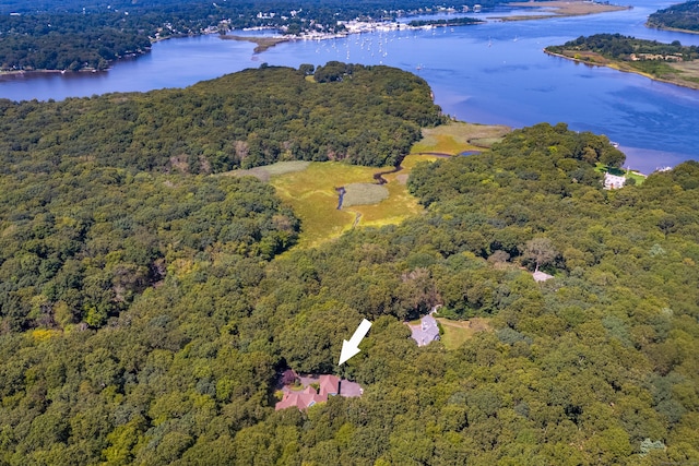 birds eye view of property with a water view and a forest view