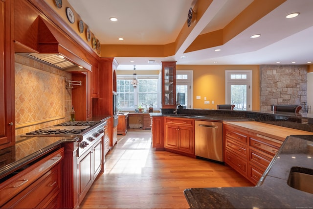 kitchen with light wood finished floors, premium range hood, stainless steel appliances, and a wealth of natural light