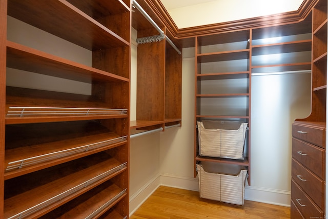 spacious closet featuring light wood-style flooring