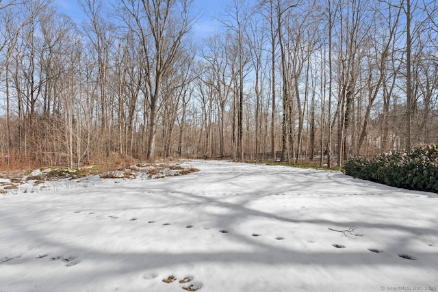 view of yard layered in snow