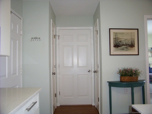 hall featuring dark wood-type flooring