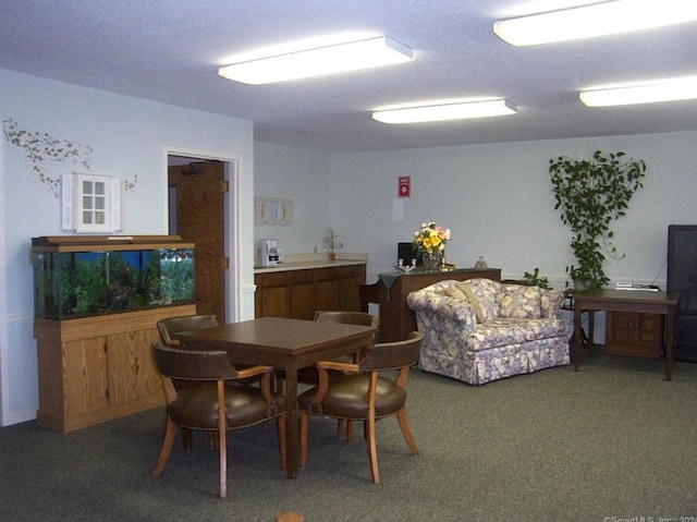 dining room featuring carpet floors