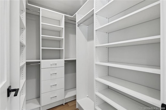 walk in closet featuring wood finished floors