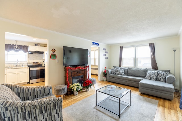 living area with light wood-style floors, a glass covered fireplace, crown molding, and plenty of natural light