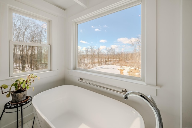 full bath featuring a freestanding tub and plenty of natural light