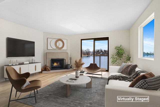 living room featuring a premium fireplace, a baseboard heating unit, and wood finished floors