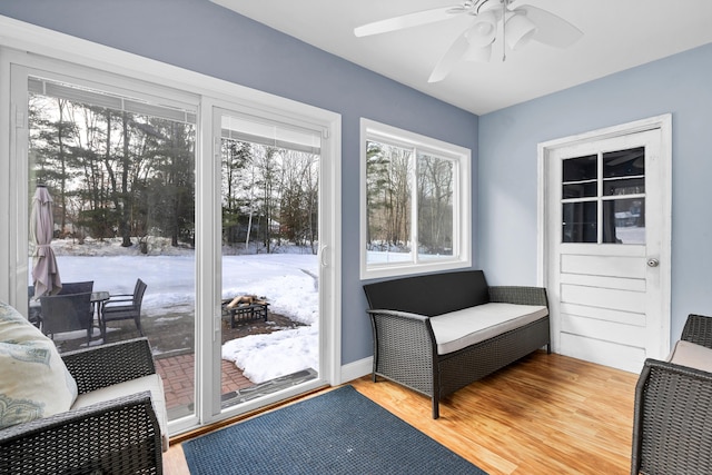 entryway with ceiling fan and wood finished floors