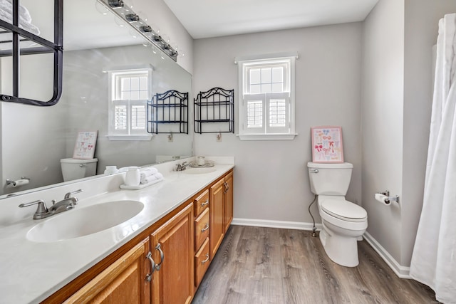 full bath featuring toilet, plenty of natural light, and a sink