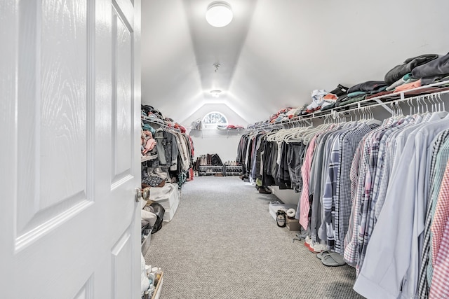 spacious closet featuring vaulted ceiling and carpet floors