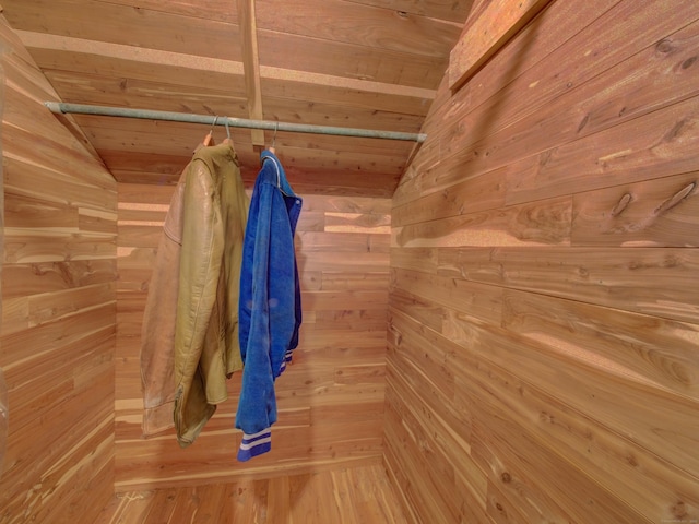 walk in closet with lofted ceiling and wood finished floors