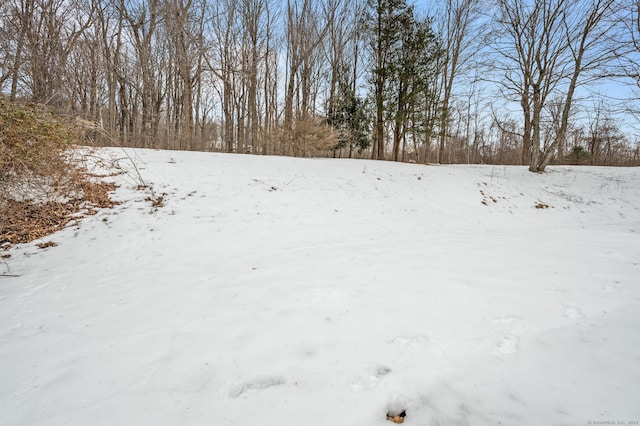 view of snowy yard