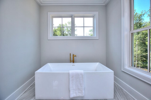 full bathroom with baseboards, a freestanding bath, and wood finished floors