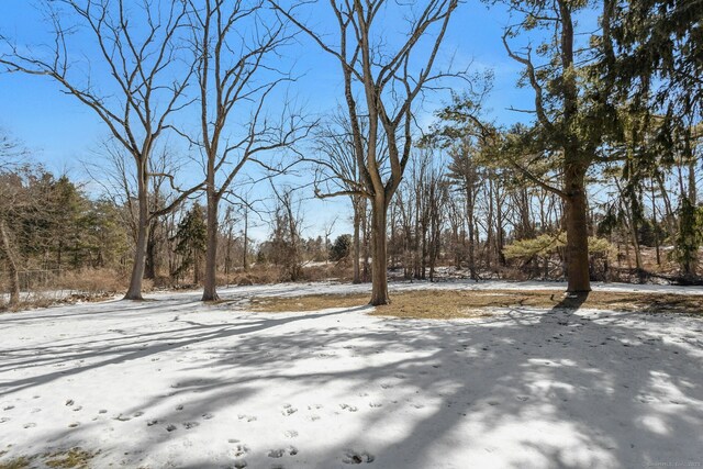 view of snowy yard